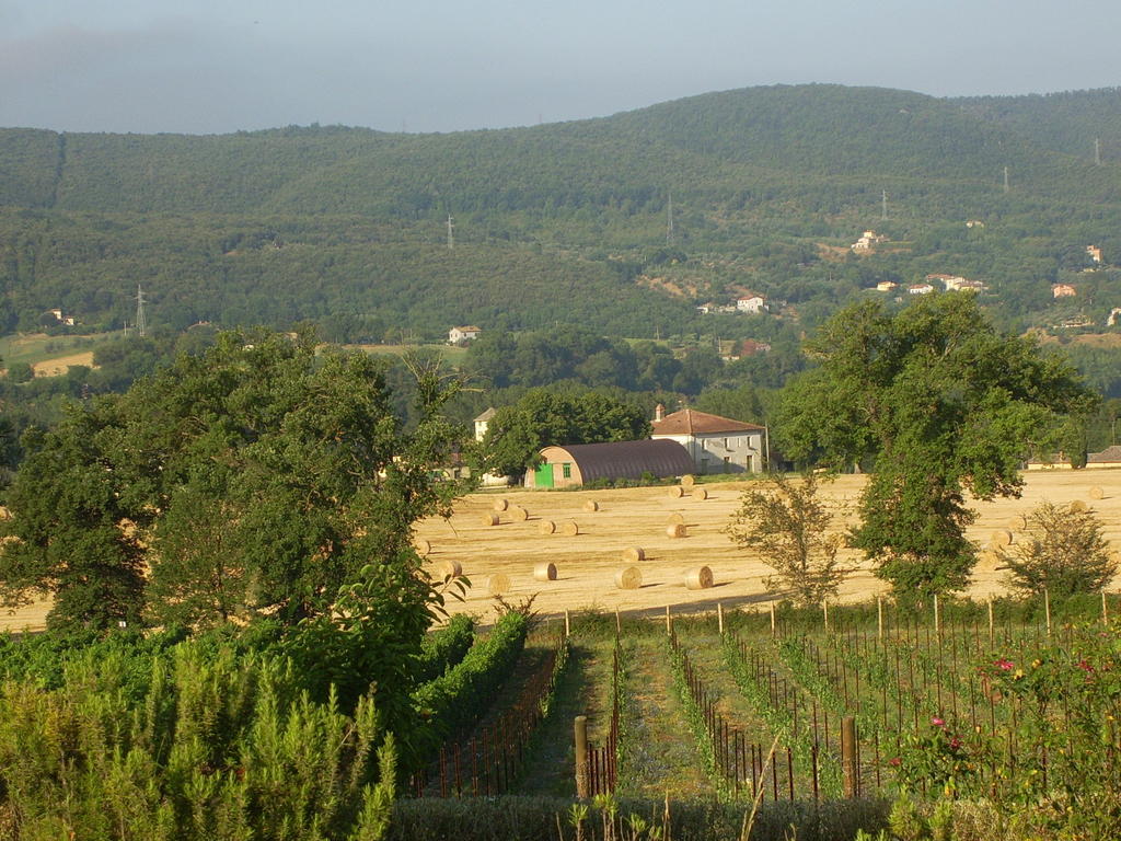 Agriturismo Regno Verde Нарні Екстер'єр фото