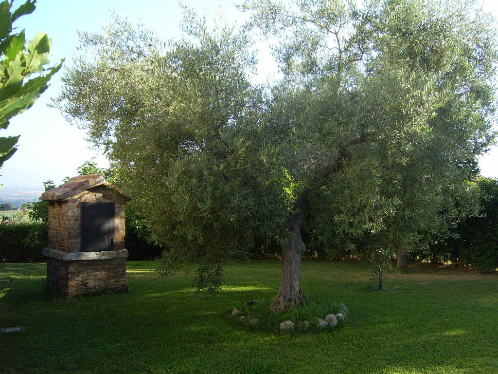 Agriturismo Regno Verde Нарні Екстер'єр фото