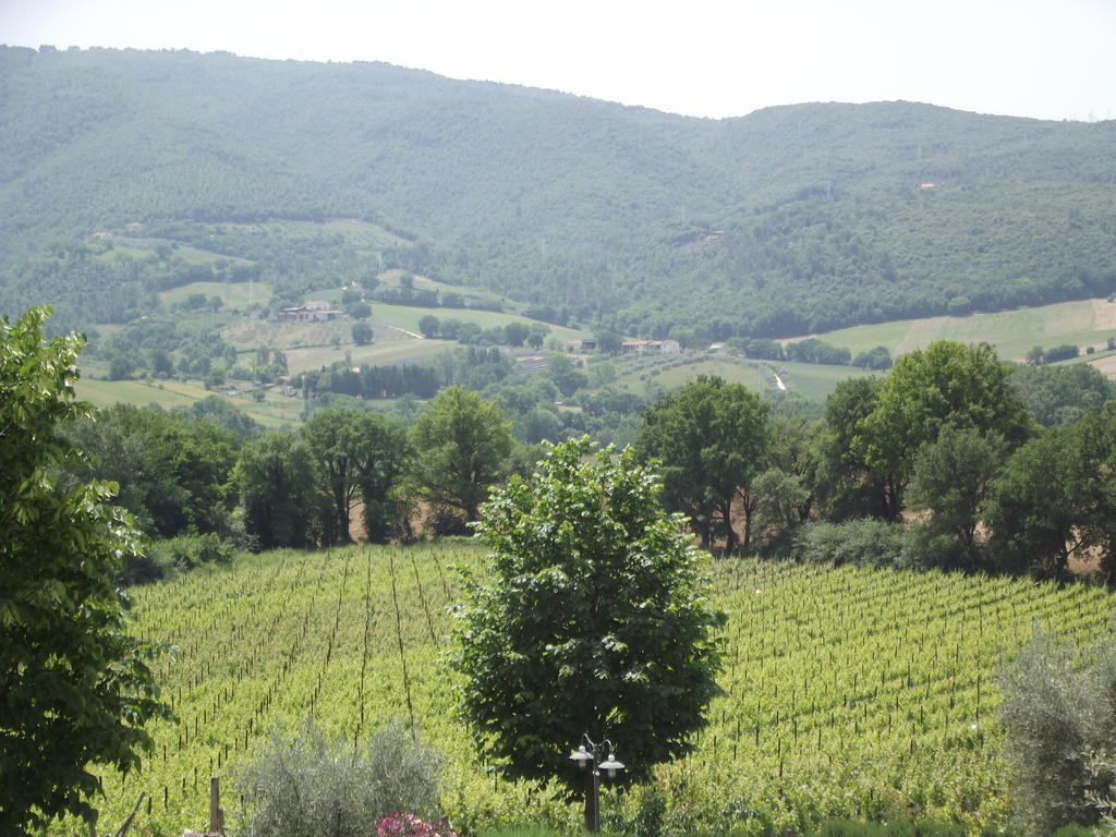 Agriturismo Regno Verde Нарні Екстер'єр фото